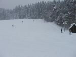 Skikubiška