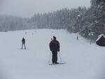 Skikubiška