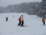 Skikubiška