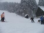 Skikubiška